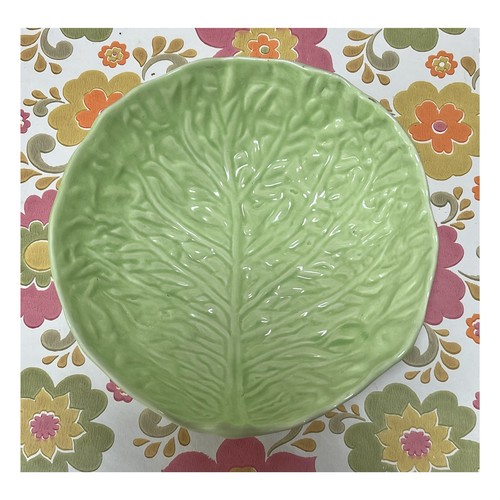 Large cabbage lettuce - 💚large,