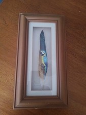 Handpainted. Macaw On A Feather. SM Woodcock 2001