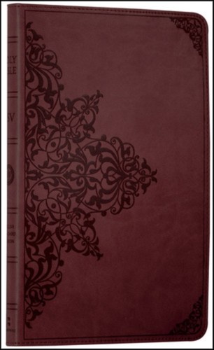 Holy bible english standard - holy,