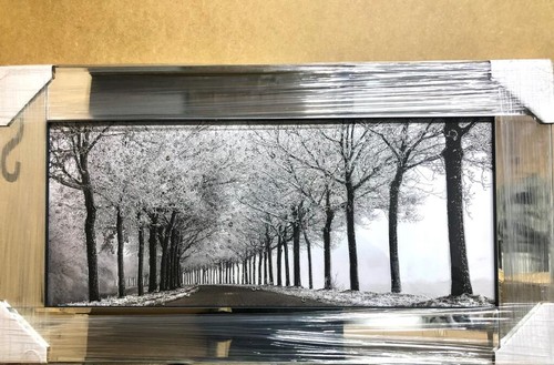 Blossom tree picture silver - tree,