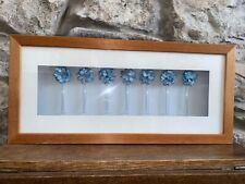 Contemporary Framed Picture Art Flowers in Test Tubes Shabby Chic #cottagecore