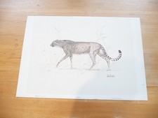 CHEETAH PRINT BY JOEL KIRK