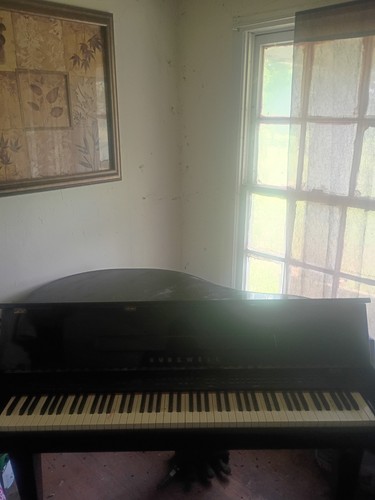Kurzweil baby grand - kurzweil,