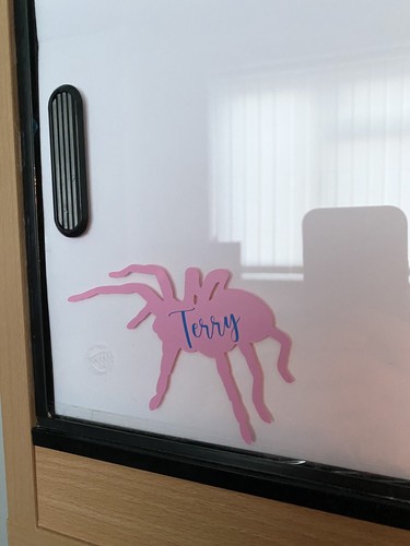 Personalised tarantula - personalised,