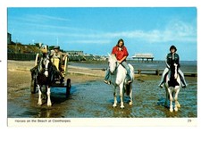 Lincolnshire. Horses on the