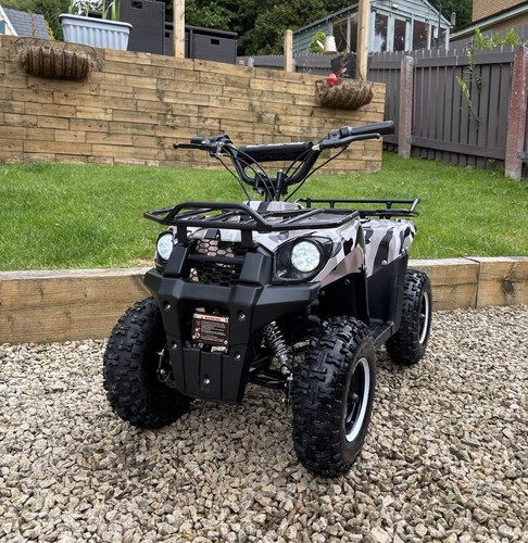 Kids mini electric quad - kids,