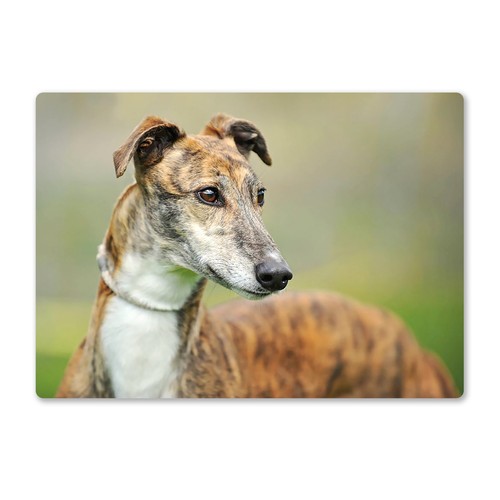 Metal wall sign - sign, dogs