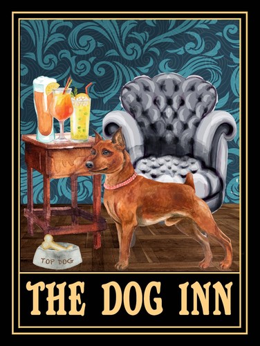 Miniature pinscher the - dog, inn