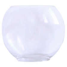  Small Aquarium Tank Fish