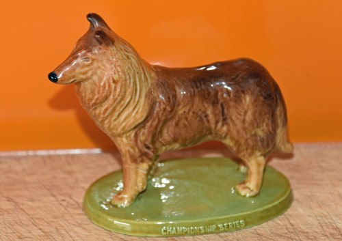 Wade championship dogs series - wade,
