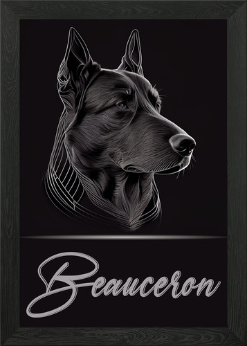 Beauceron framed wall - wall, art