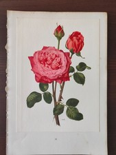 VINTAGE ORIG. COLOUR