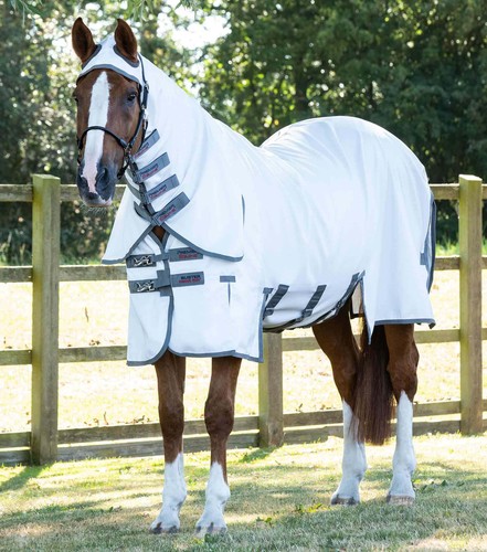 Premier equine sweet itch - equine,