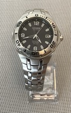 Citizen Eco Drive Perpetual