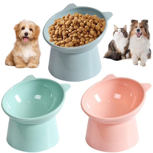 Tilted cat food bowls - food,