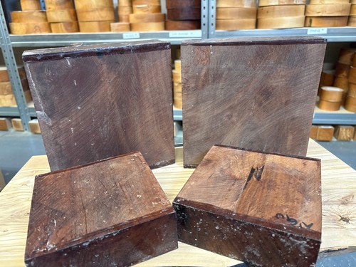 Newtonia bowl blanks - bowl,