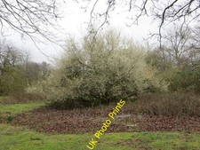 Photo 6x4 St Mawes Harbour panorama The Idle Rocks Hotel on the left and  c2014