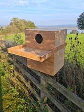 Barn Owl Nest Box - Indoor use