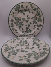 Set of 2 BHS Country Vine