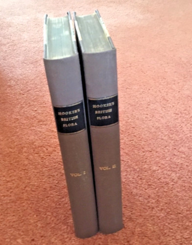 Hooker british flora vols - hooker's,