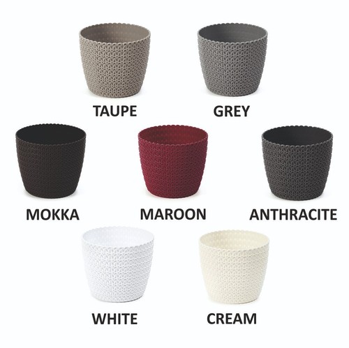 Plant pots flower - plant,