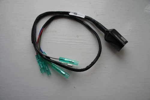 Tail light wiring loom - ,