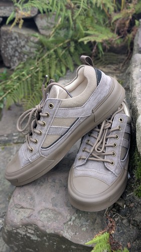Cat urban edge - urban,