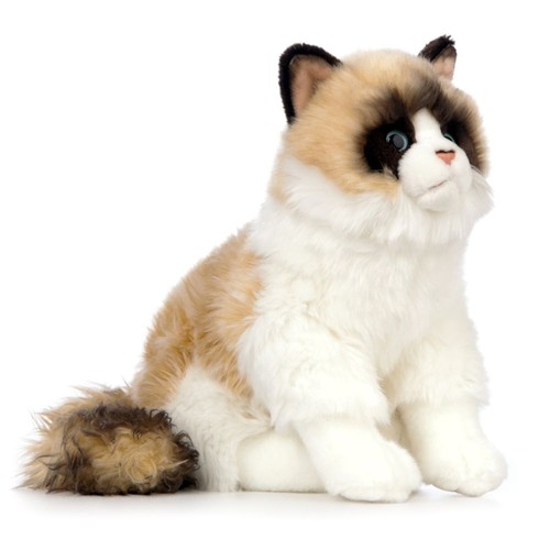 Ragdoll cat plush soft - cat,