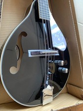 Tanglewood Union Series TWM T