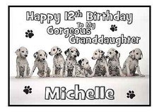 dalmatian puppies personalised