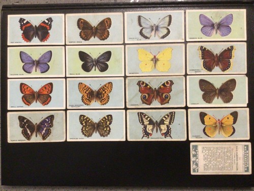 British butterflies - b.a.t.,