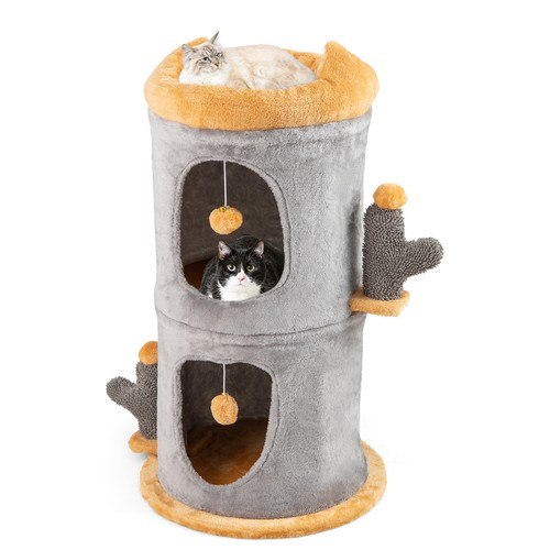 Story cat house - cat,