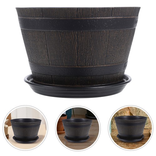 Indoor plants wishing well - indoor,