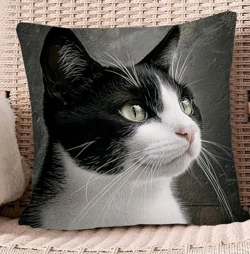 Beautiful black white cat - x,