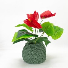 Concrete Woven Style Plant