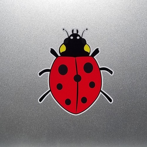 Beautiful red ladybird ladybug - red,