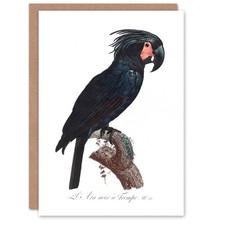 Francois levaillant art card - francois,