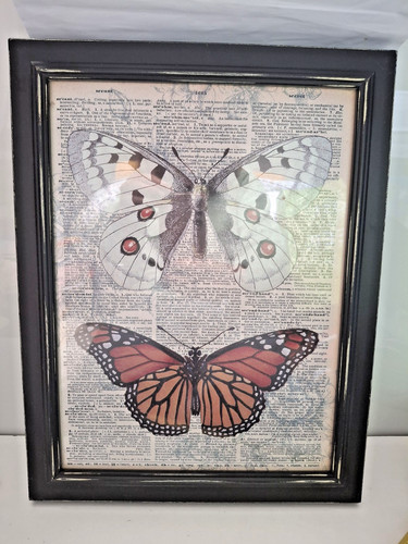 Framed butterfly wall - framed, art