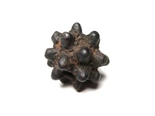 Japan Antique Sea cucumber