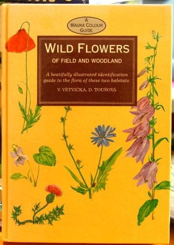 Wild flowers field - wild, &