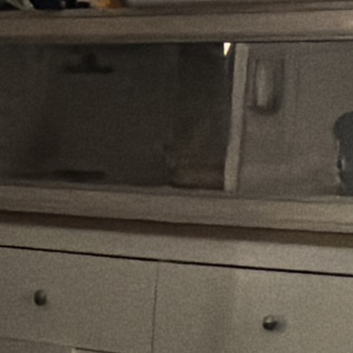 Vivarium reptile for sale - for,