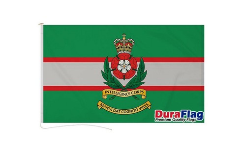 Intelligence corps 90cm - intelligence, 60cm