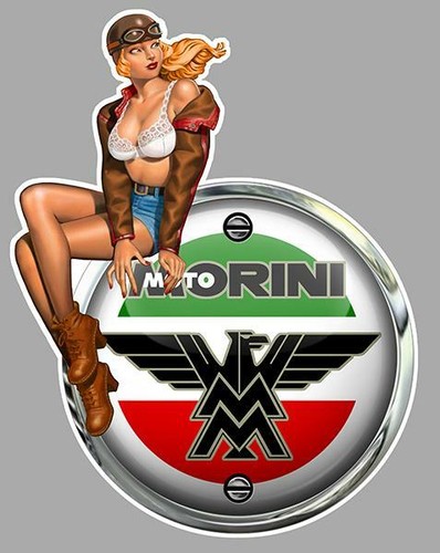 Moto morini left pin - morini,