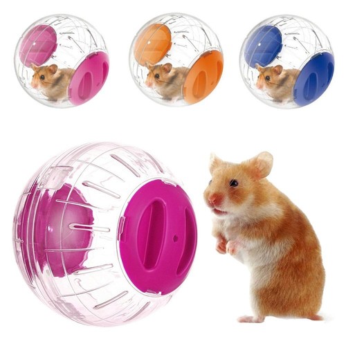 Gerbil rat rodent hamster - rat,