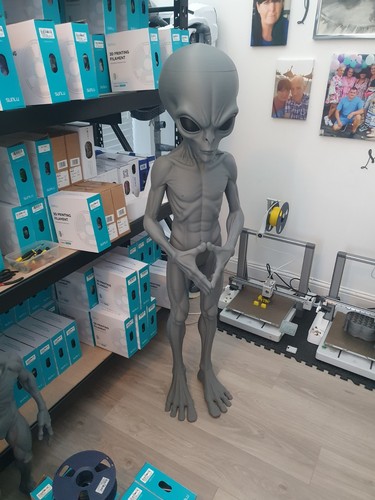 Printed foot tall alien - 3d, 5