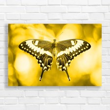 Unlocking The Mystery