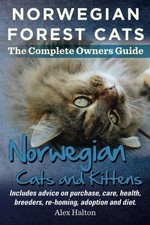 Norwegian Forest Cats and