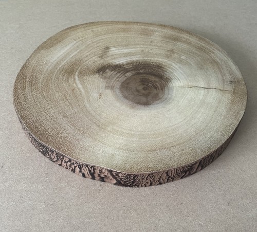 Large wooden log slice rustic - large,