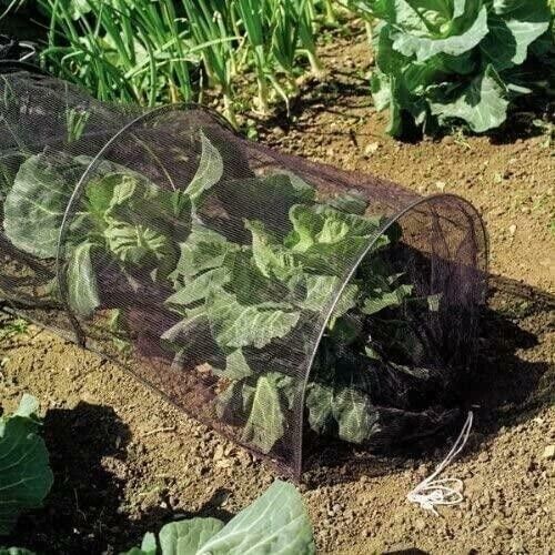 Garden plant grow tunnel - 3m,