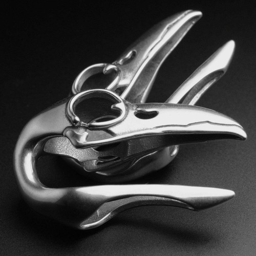 Bird skull surgical - skull, ear